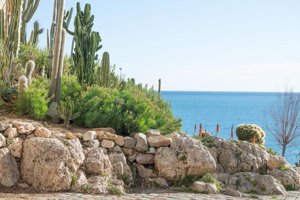 La Pablita, Vieil Antibes, Remparts Apartman Kültér fotó